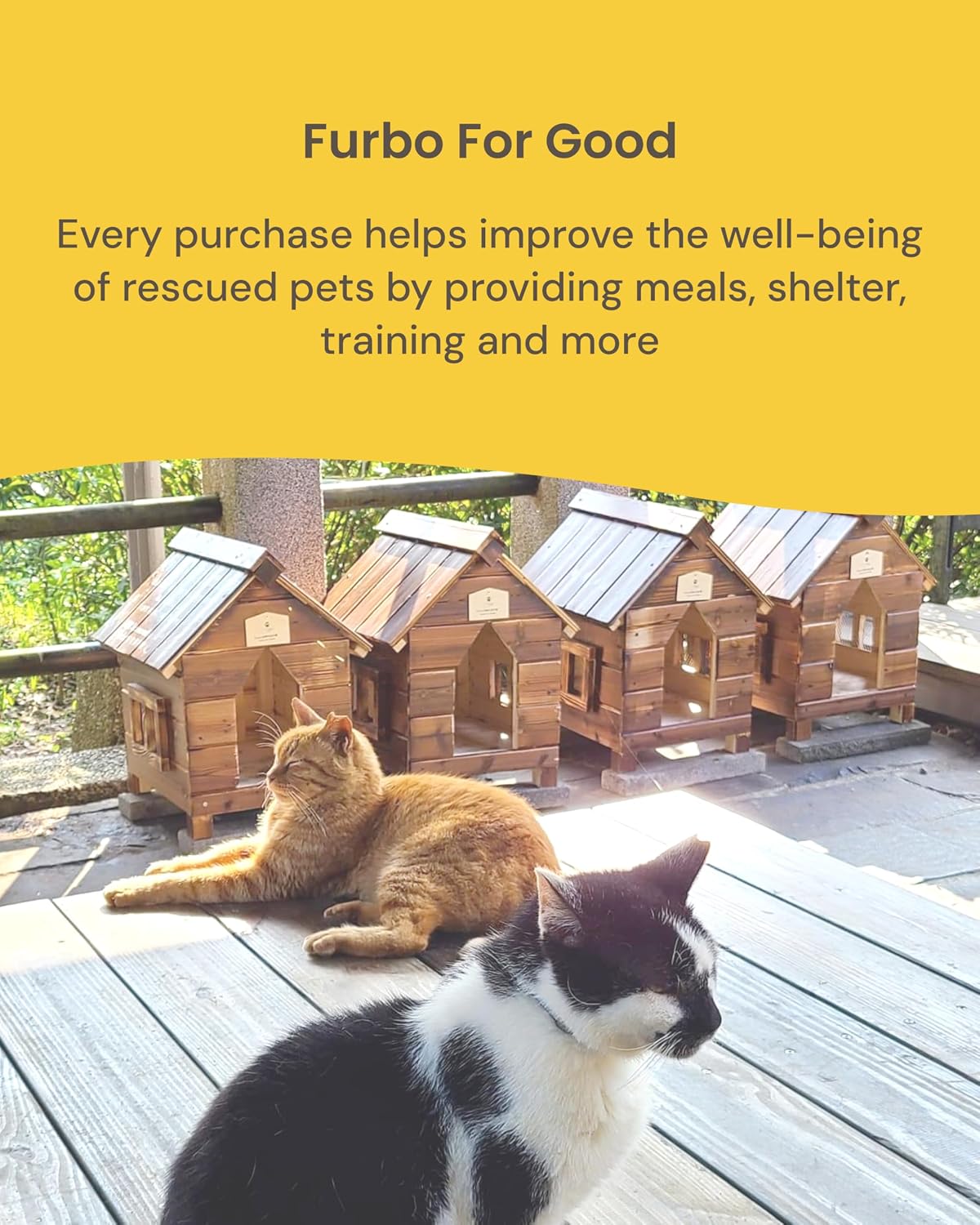 Furbo 360° Cat Camera [Core Features, No Ongoing Cost]