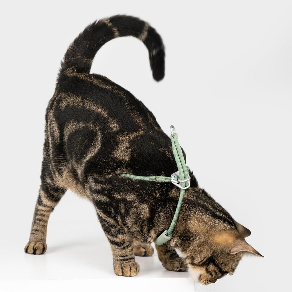 Escape Proof Y Shape Cat Harness Anti-Choke (Burgundy, S)