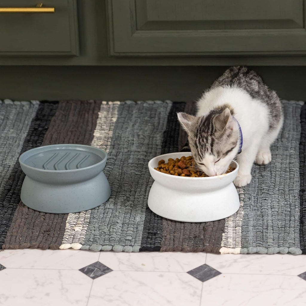 Kitty City Elevated Slow Feeder Cat Bowls (Set of 2), Whisker-Friendly Raised Cat Food Dishes with Ridges, Helps Reduce Fast Eating & Digestion Issues, Dishwasher Safe, 6.5 oz – White & Gray