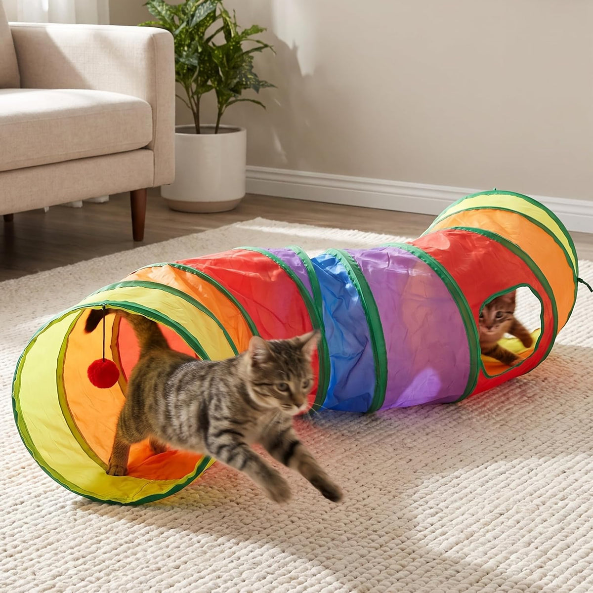 35 Pcs Cat Toys for Indoor Cats, S-Shaped Kitten Play Tube Toy