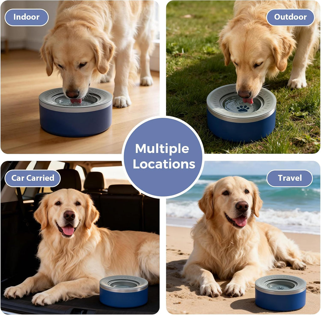 Stainless Steel Dog Water Bowls, No Spill Water Bowls for Dogs, Blue