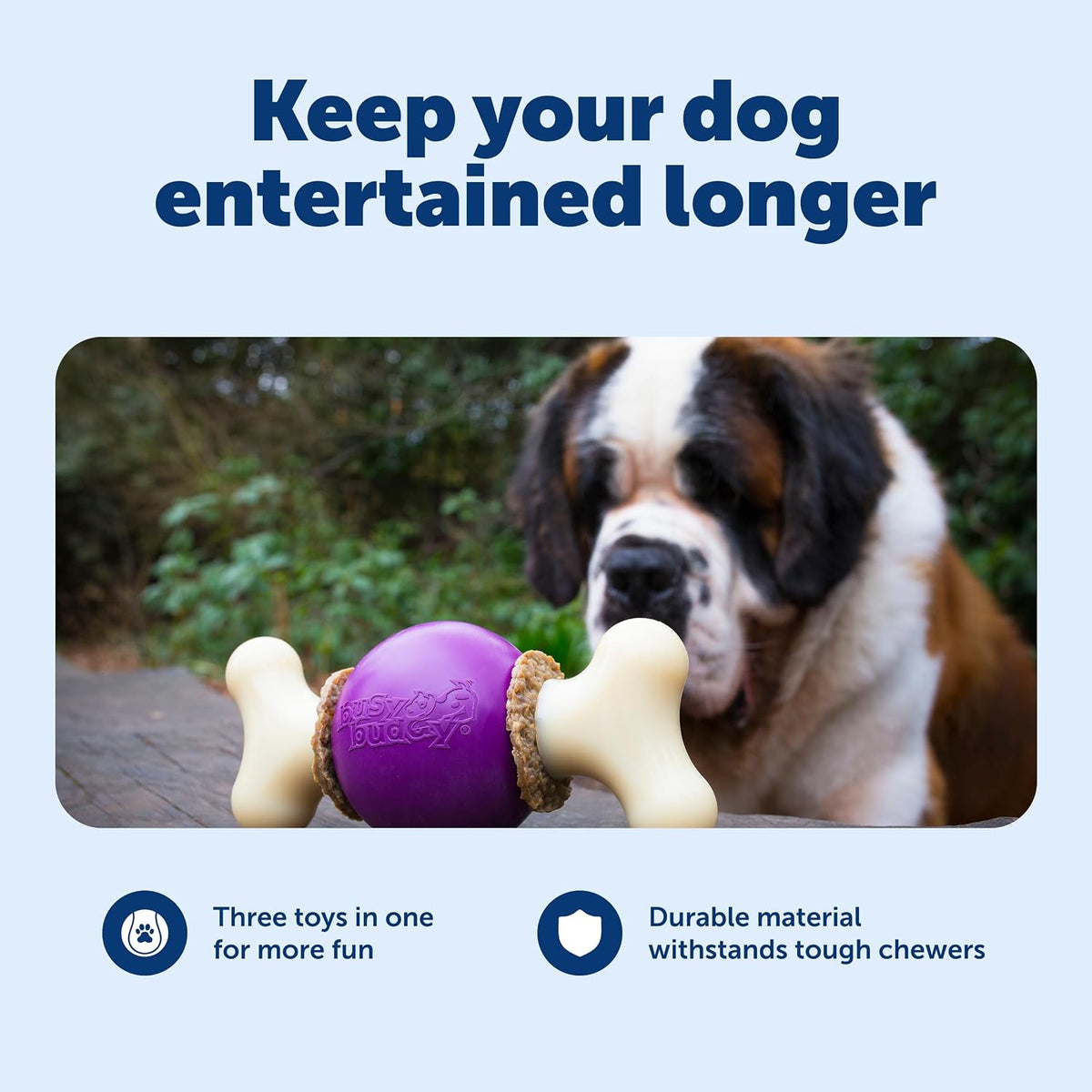 PetSafe Busy Buddy Bouncy Bone Treat Holding Dog Chew Toy, Large
