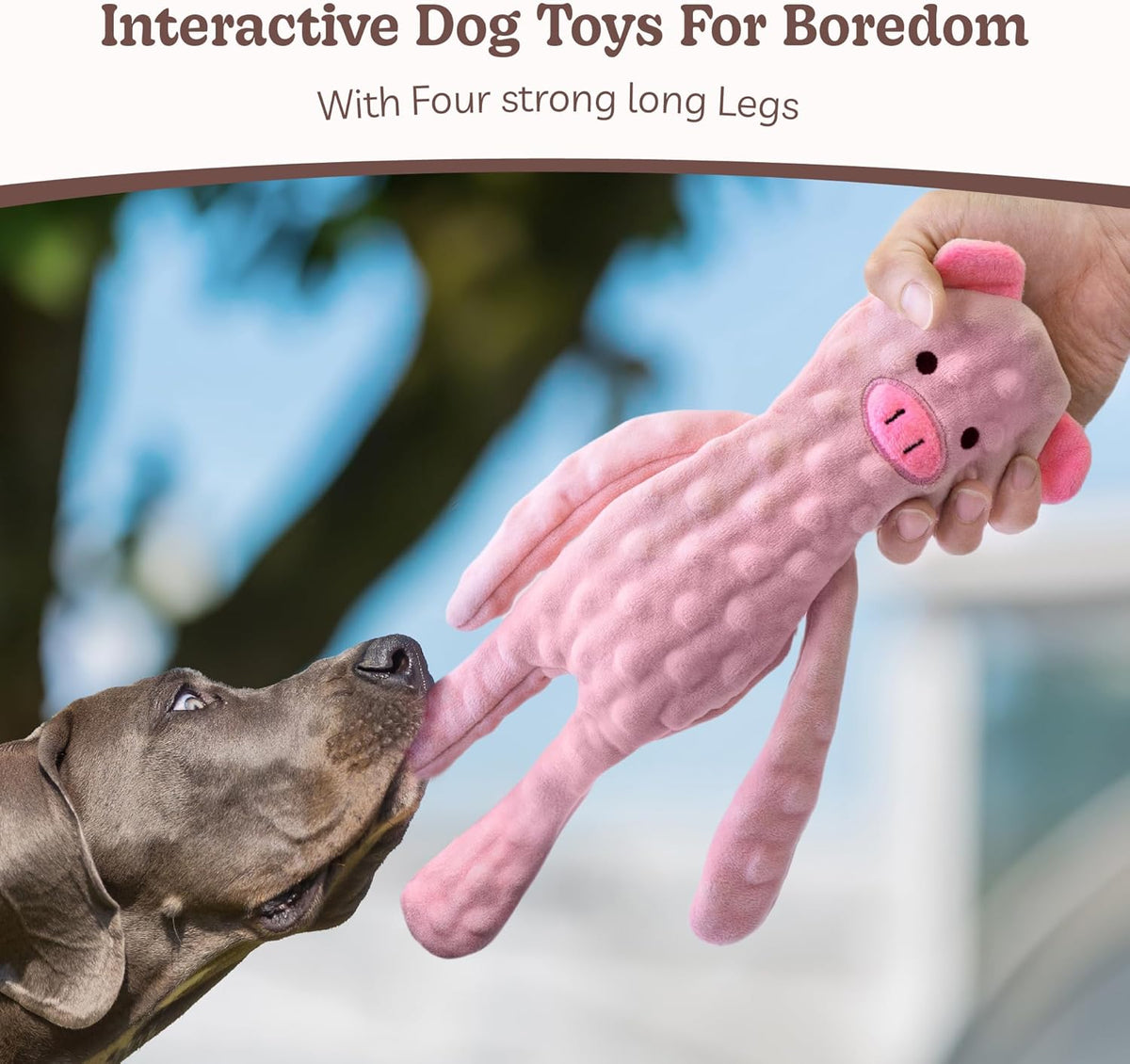 SHARLOVY No Stuffing Dog Toys 5 Pack, Crinkle Interactive Dogs Toy for Boredom, Puppy Toys for Teething to Keep Them Busy, Cute Squeaky Dogs Toy for Small, Medium, and Large Breed | Puppy Toys for Teething to Keep Them Busy, Cute Squeaky Dogs Toy for S...
