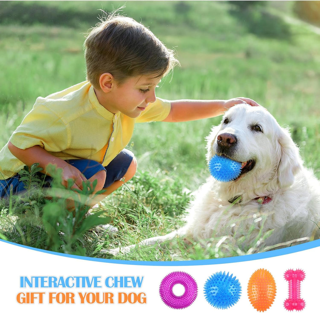 Silipull 4 Pcs Spiky Dog Toy Ball for Large Dogs, Fresh, Various Sizes