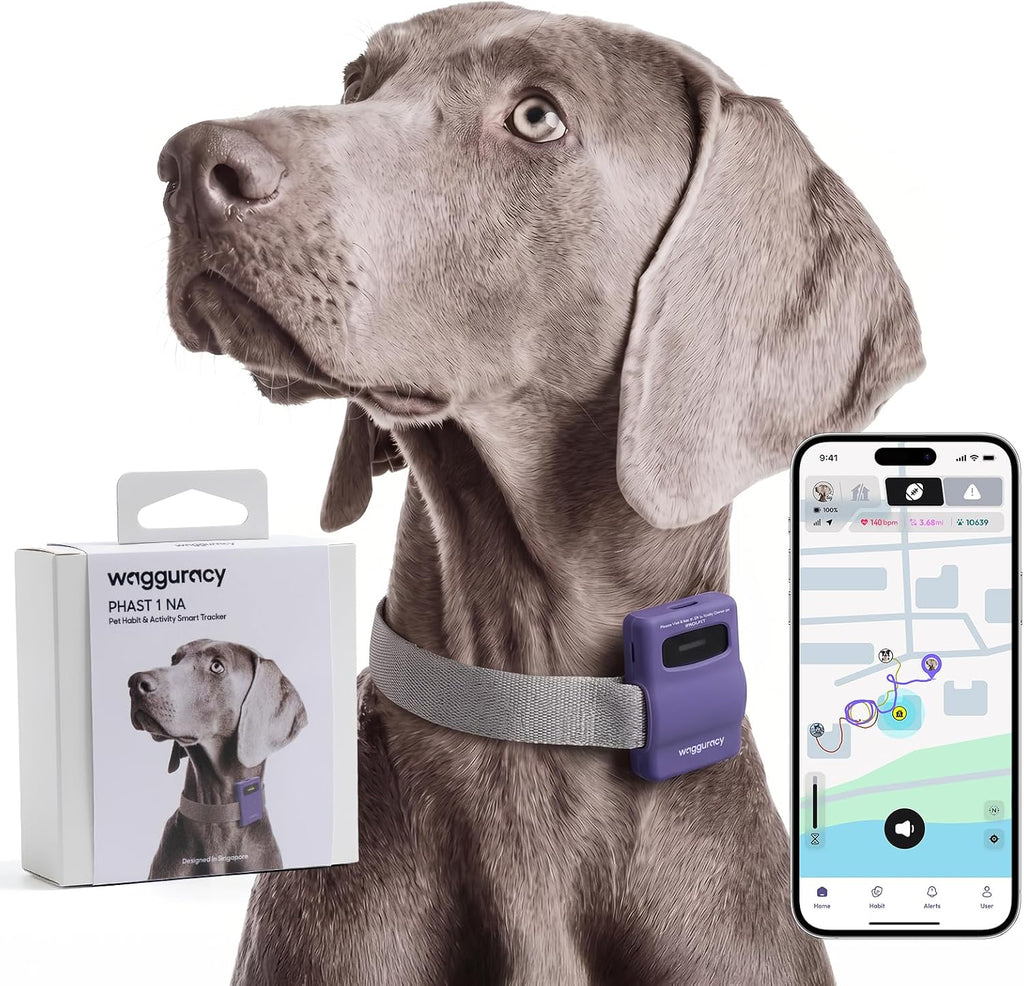 Pet Habit & Activity Smart Tracker, 4G LTE GPS Tracker for Dogs