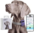 Pet Habit & Activity Smart Tracker, 4G LTE GPS Tracker for Dogs