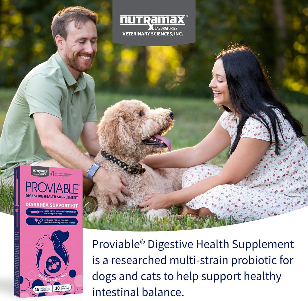 Nutramax Laboratories Proviable Digestive Health Supplement Kit with Multi-Strain Probiotics and Prebiotics for Cats and Small Dogs, with 7-Strains of Bacteria, 15 mL Paste and 10 Capsules