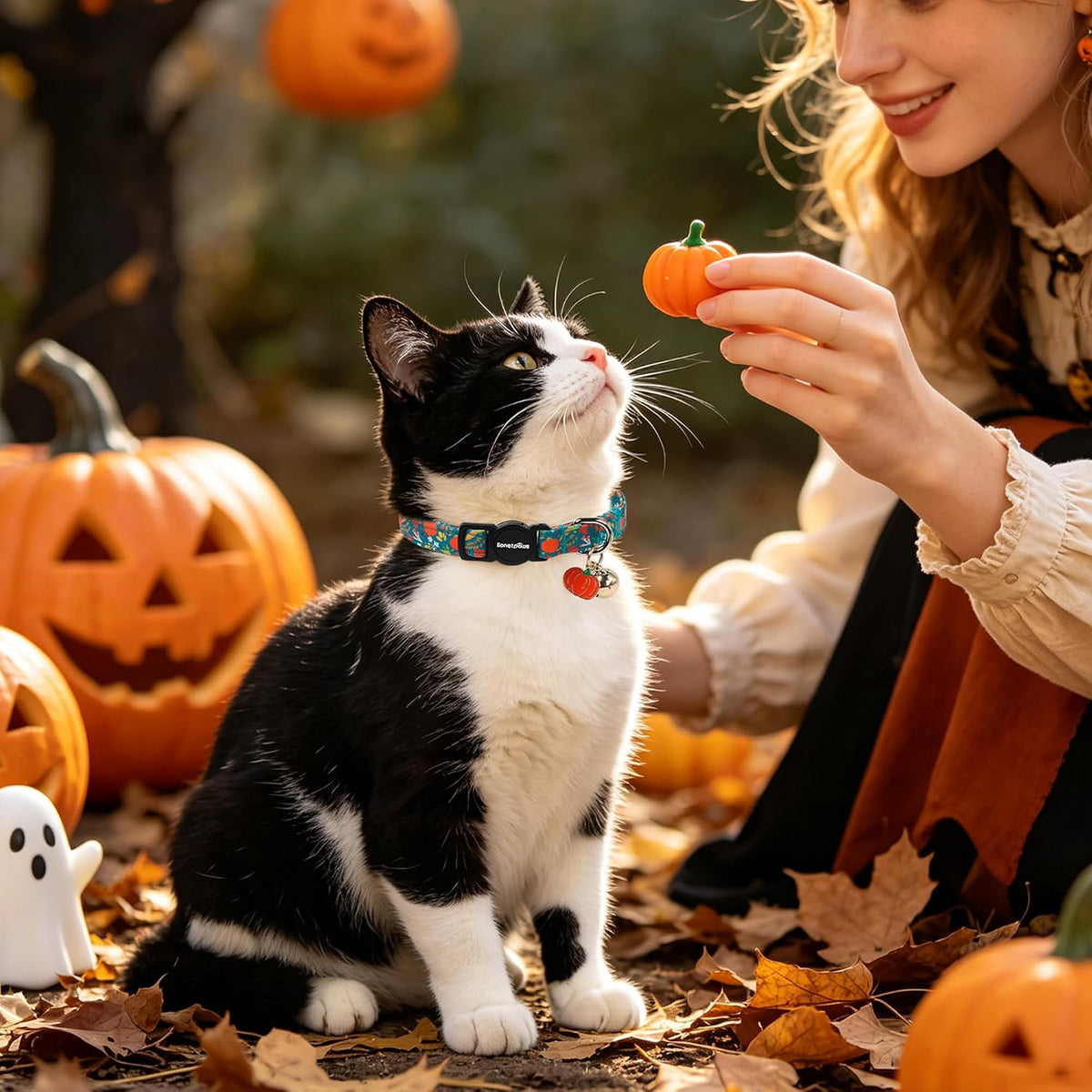 lionet paws 2 Pack Cat Collar Breakaway with Bells-Fall Teal Pumpkin Turkey