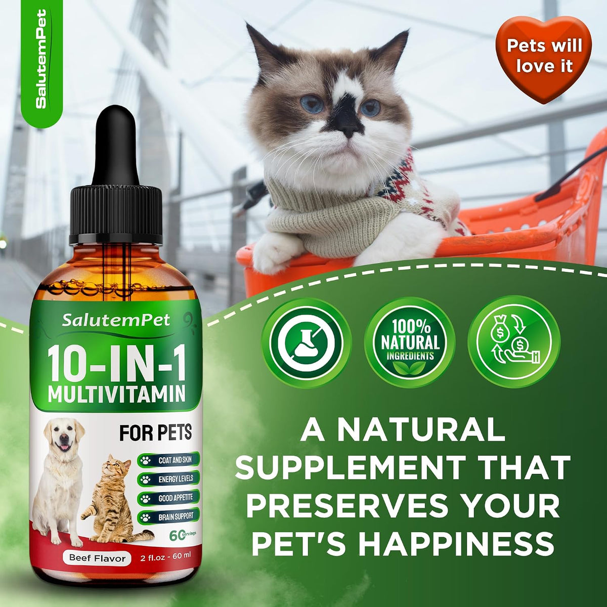 Сat Vitamins for Indoor Cats – Liquid 10-in-1 Multivitamin for Dogs – C, D3, B Group, for Skin, Coat, & Breathing – Natural Protection for Pets of All Ages – For Digestion & Bones – Beef Flavor – 2 Oz