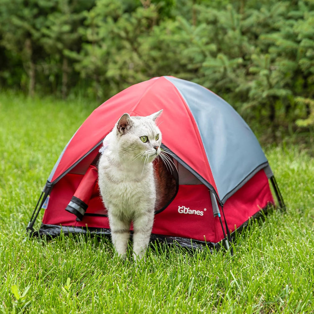 GDanes Red Cat Tent, Cat House Bed for Indoor Cats with Soft Pad