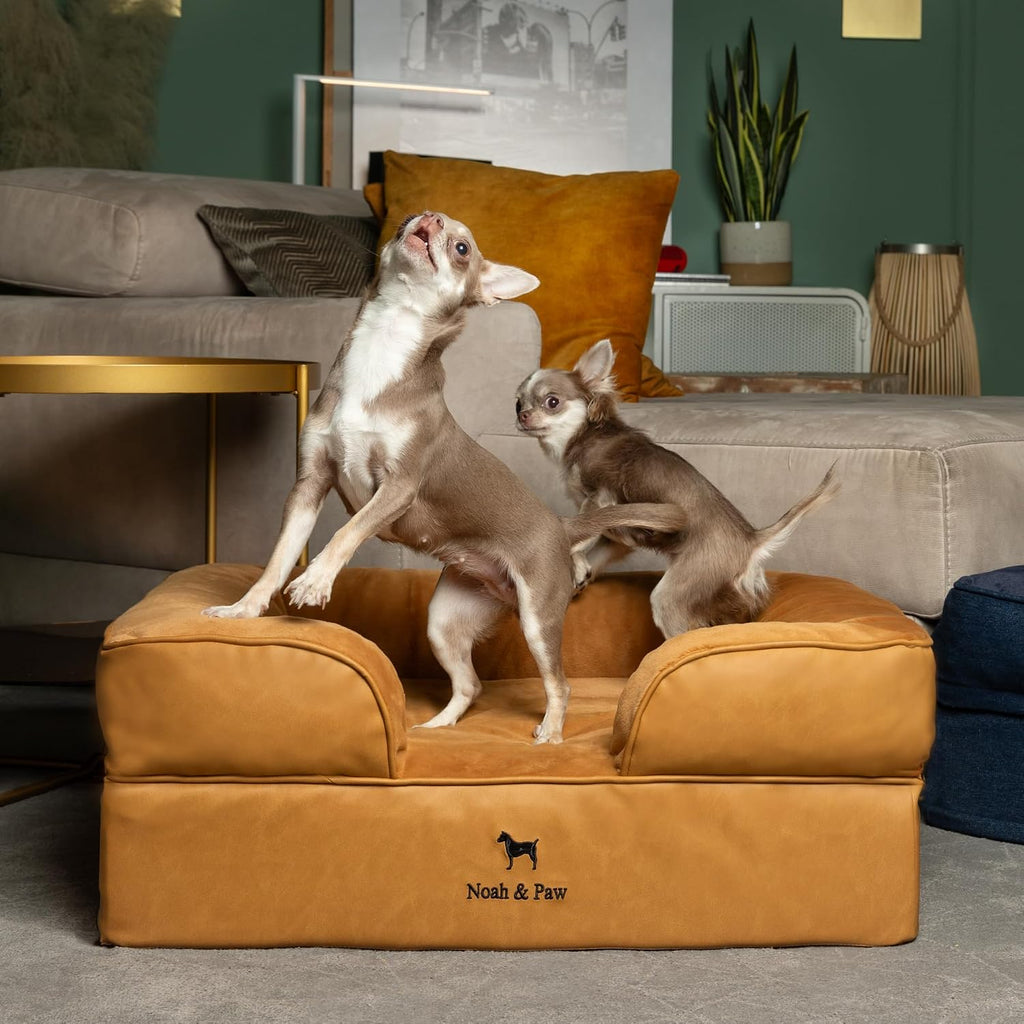 NOAH & PAW Dog Bed, Orthopedic Memory Cooling Foam (2X Base) 28x23x11in