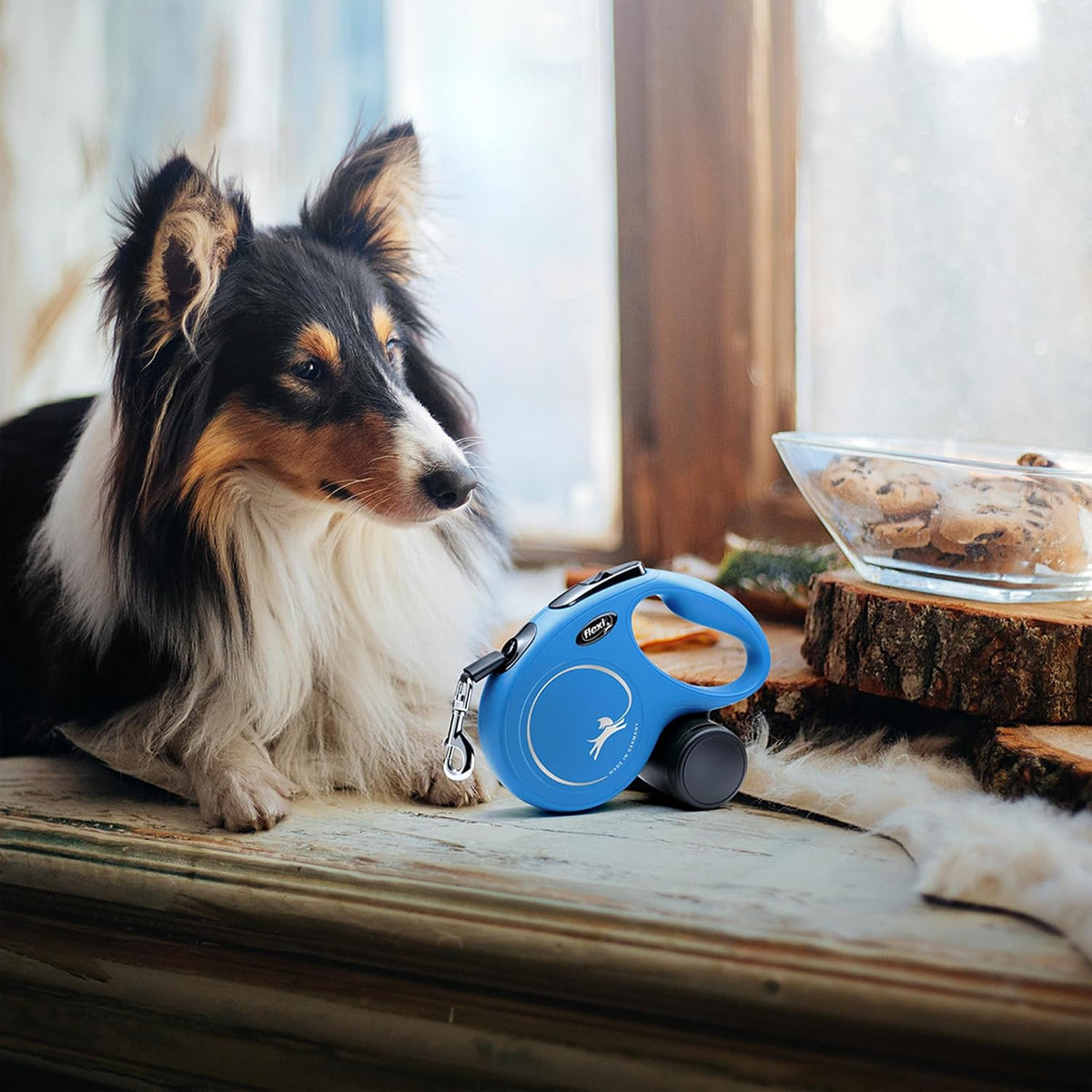 FLEXI® Classic XS Cord Retractable Dog Leash, 3-Finger Grip, 10 ft - Blue
