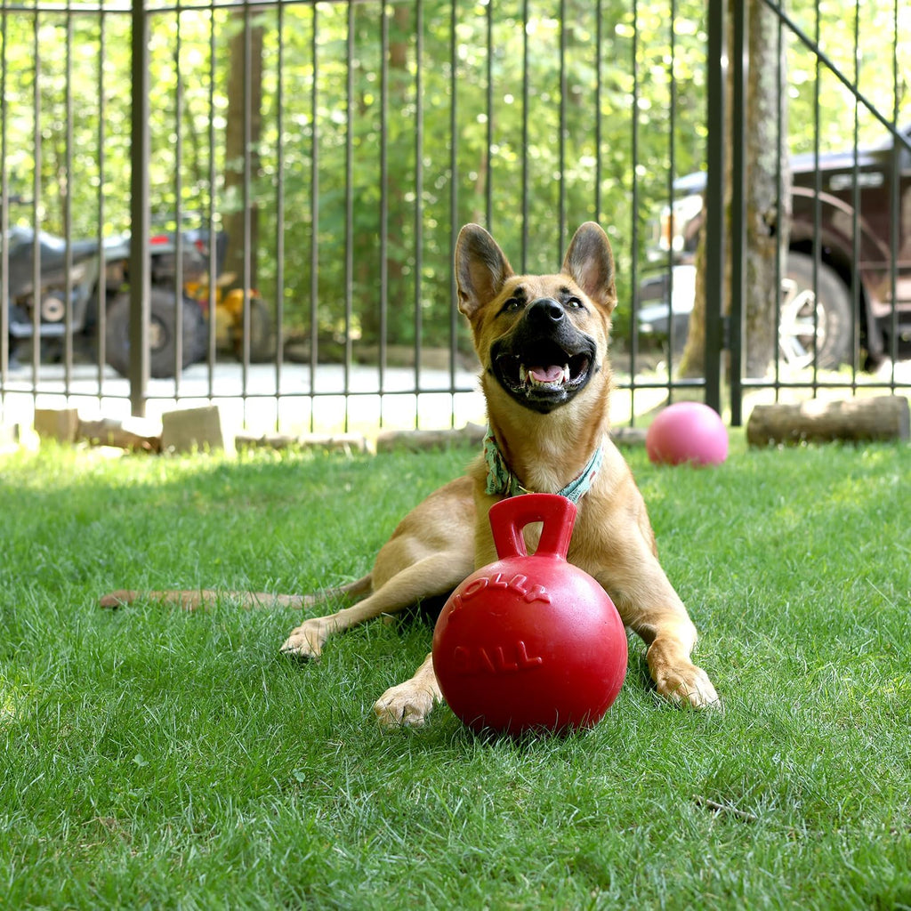Jolly Pets Tug-n-Toss Heavy Duty Dog Toy Ball with Handle, 8 Inches/Large, Red (408 RD)