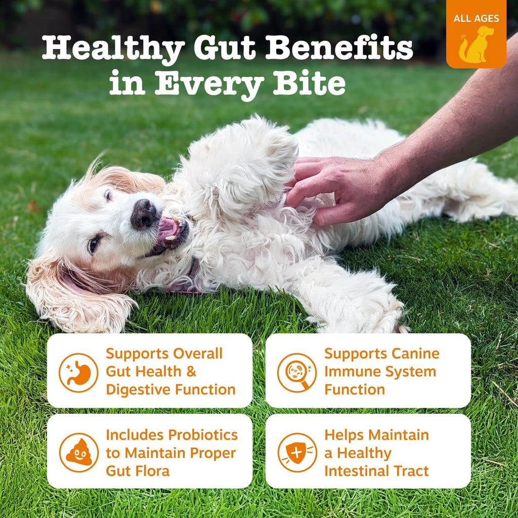 Zesty Paws Probiotics for Dogs, Digestive Enzymes Gut Flora, Digestive Health, Diarrhea & Bowel Support, DE111, Dog Probiotics Soft Chew for Pet Immune System, Chicken, 50 Ct