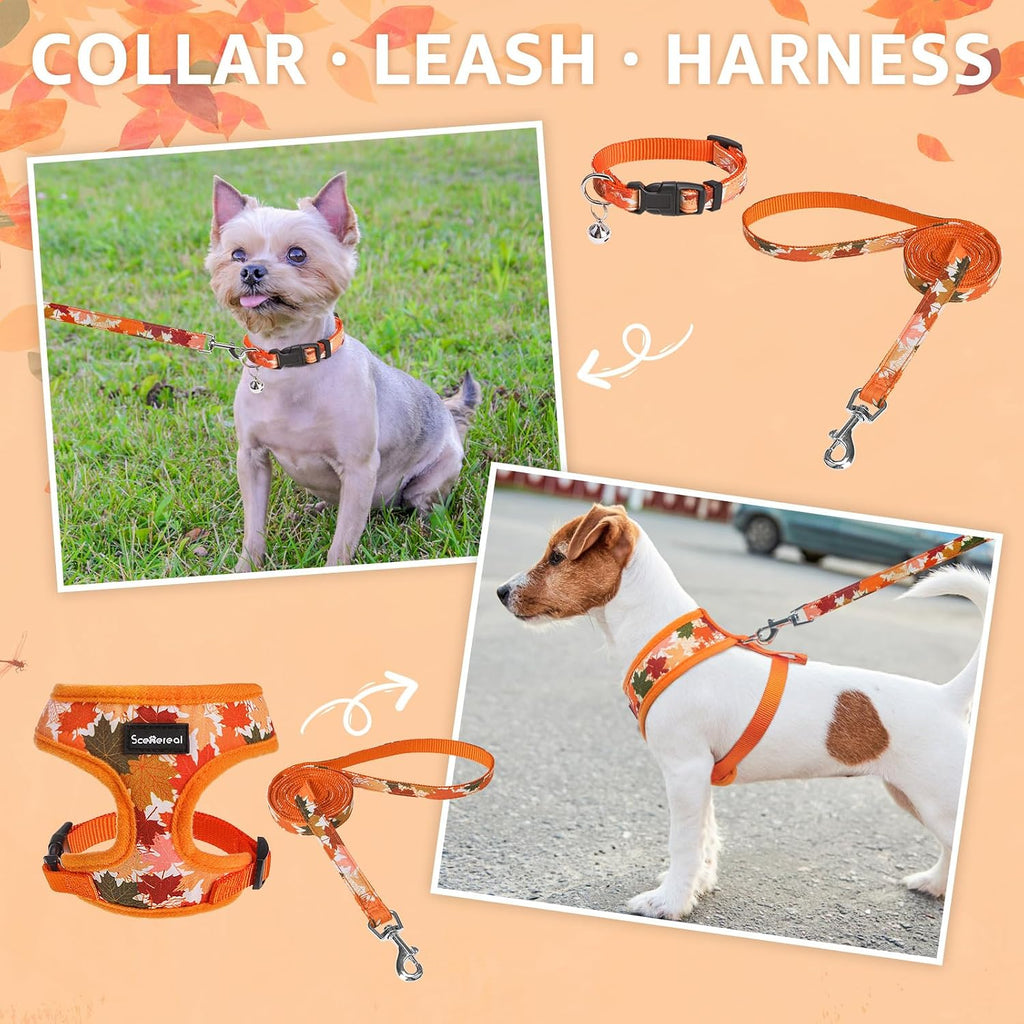 SCENEREAL Fall Dog Harness and Leash Set for Small Dogs
