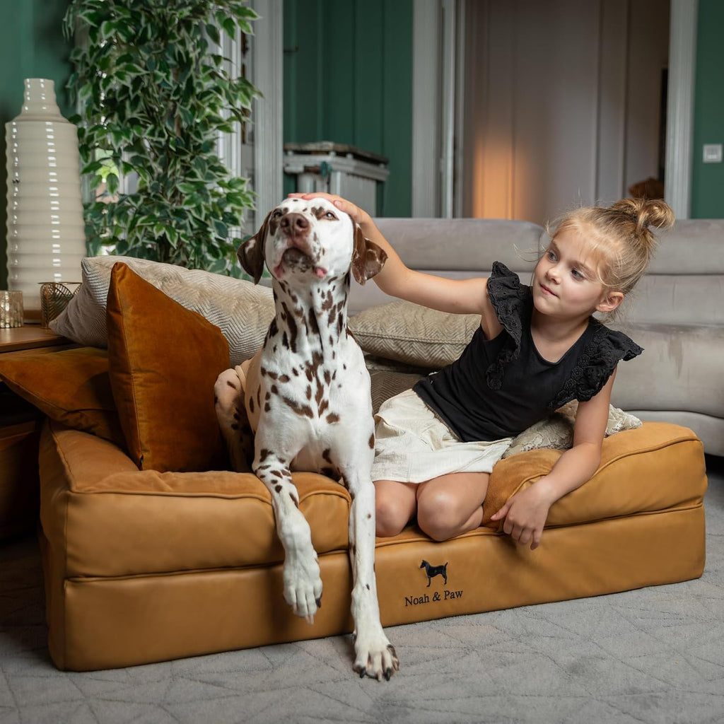 NOAH & PAW Large Dog Bed, Orthopedic Memory Cooling Foam (2X Base) 45x35x11