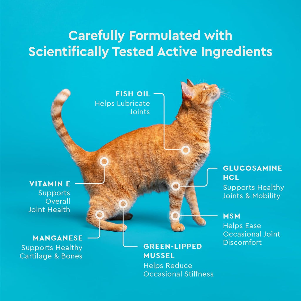 VetIQ Hip & Joint Supplement for Cats, Glucosamine, 3.7oz