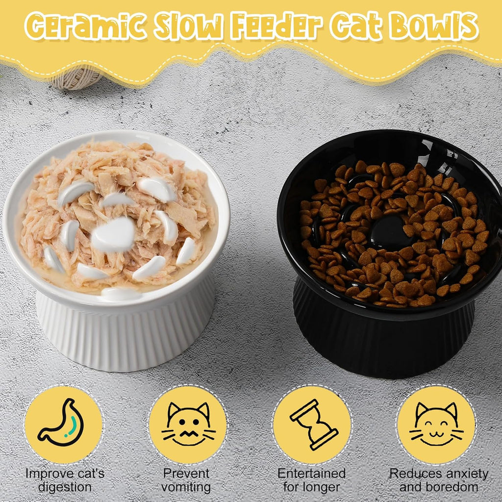 Tioncy 2 Pcs Ceramic Elevated Slow Feeder Cat Bowl, Black, White