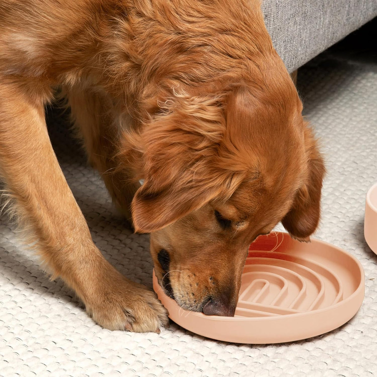 Slow Feeder Dog Bowl - Silicone Dog Bowl, Large, 9.5" x 1.5" - Blush
