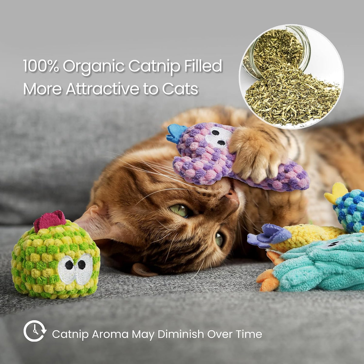 5 Pack Cactus Catnip Toys, 100% Organic Catnip Toys for Indoor Cats, Interactive Plush Chew Fun Without Cotton, Teething Soft Kittens Toys for Kitty, Colorful