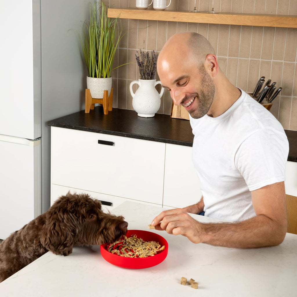Slow Feeder Dog Bowl - Silicone Dog Bowl, Medium, 7.5" x 1.5" - Cherry