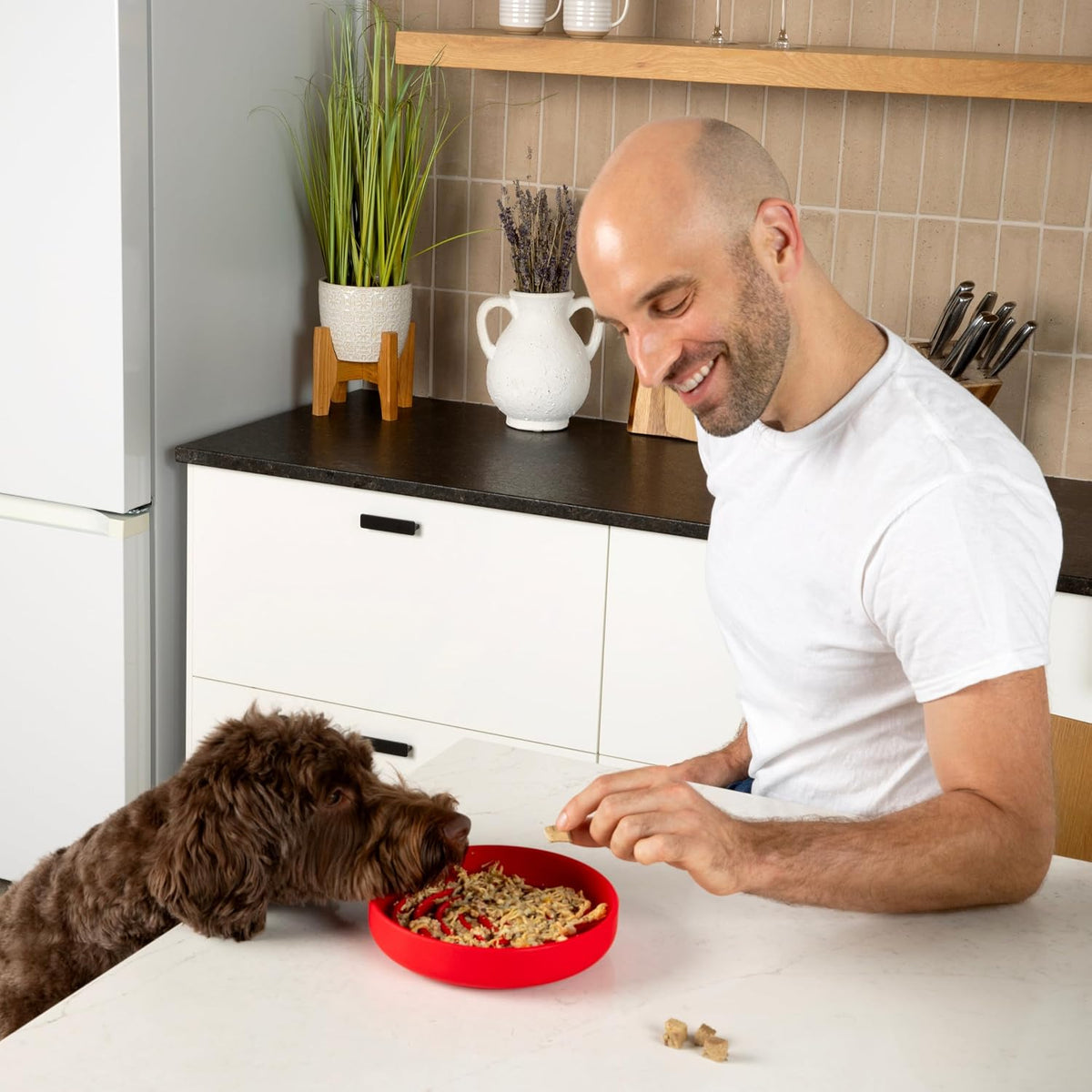 Slow Feeder Dog Bowl - Silicone Dog Bowl, Medium, 7.5" x 1.5" - Cherry