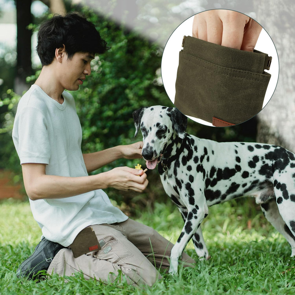 1 Pcs Pocket Pet Training Pouch,Dog Treat Pouch (Olive drab)