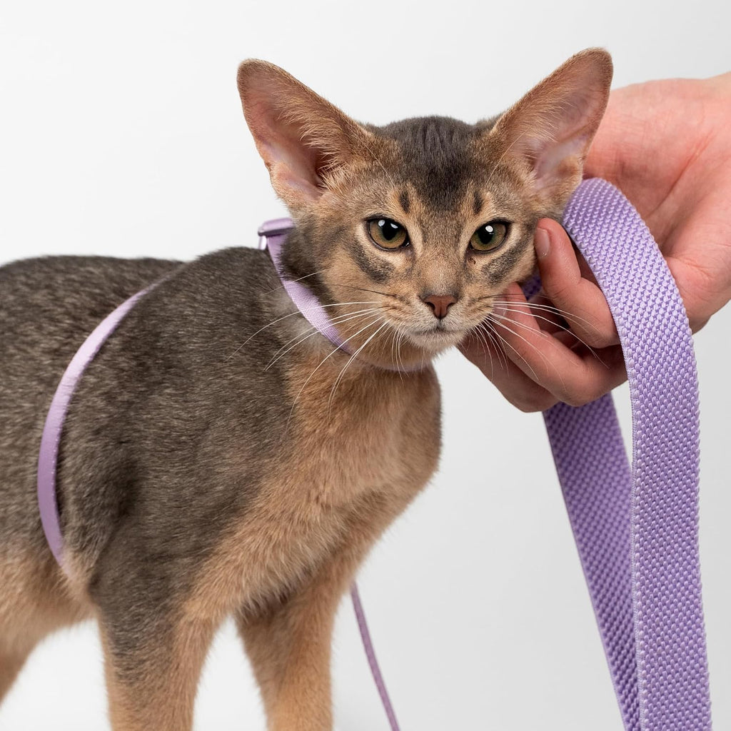 Cat Harness and Leash 2-in-1, Escape Proof Anti-Choking Harness Adjustable Lightweight Leash One-Piece Non-Detachable for Kitten Cats Outoor Walking Training, US IDA Bronze Award (Purple)