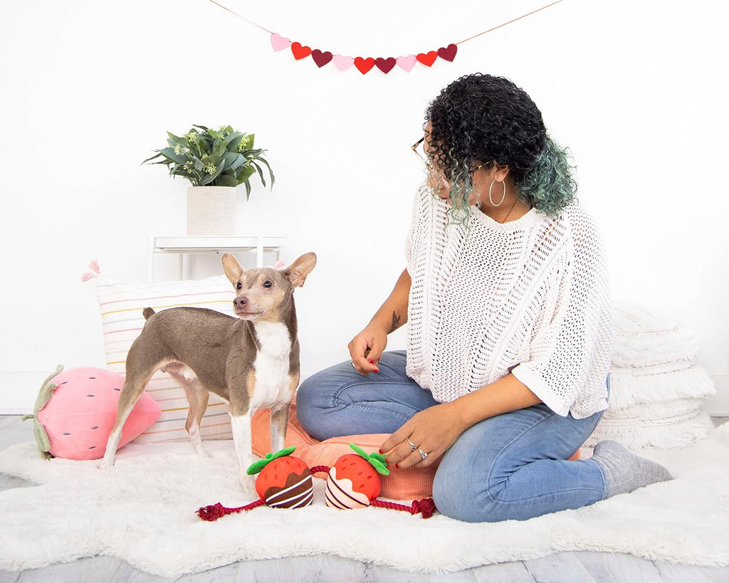Pearhead “You’re Berry Cute” Valentine’s Day Dog Toy – Plush Strawberry Squeaker & Rope Tug Toy, Interactive Crinkle Chew Toy for Dogs, Festive Valentine Pet Gift