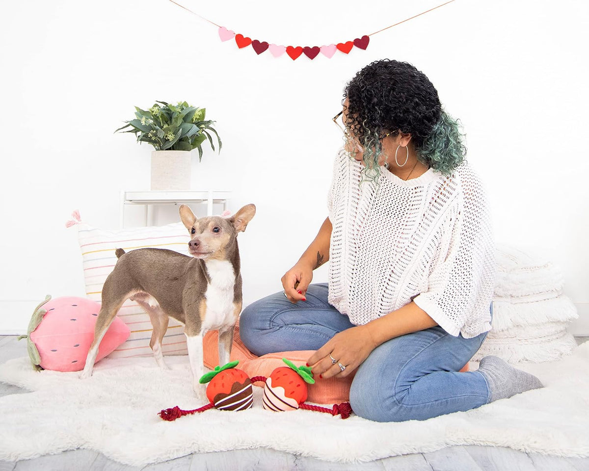 Pearhead “You’re Berry Cute” Valentine’s Day Dog Toy – Plush Strawberry Squeaker & Rope Tug Toy, Interactive Crinkle Chew Toy for Dogs, Festive Valentine Pet Gift