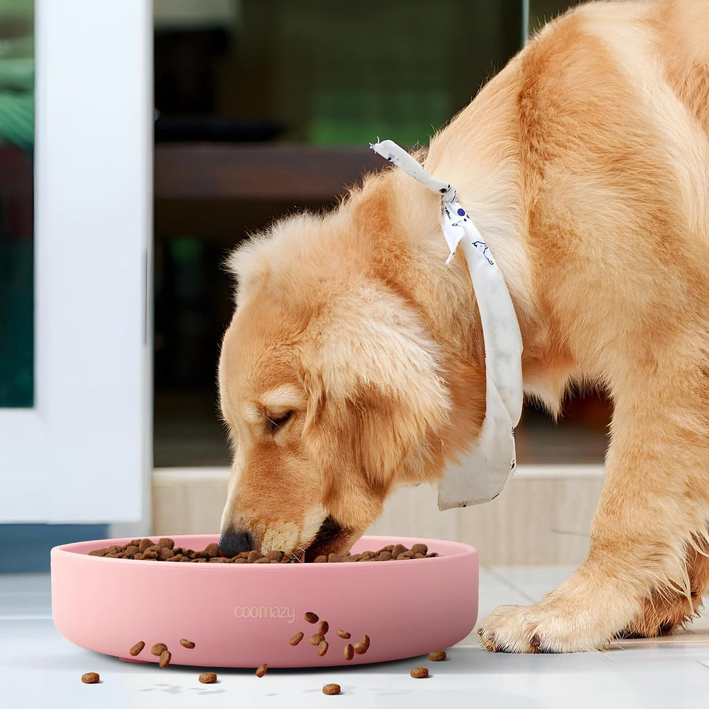 Coomazy Extra Large Slow Feeder Bowl, Silicone Dog Bowl with Suction Cups