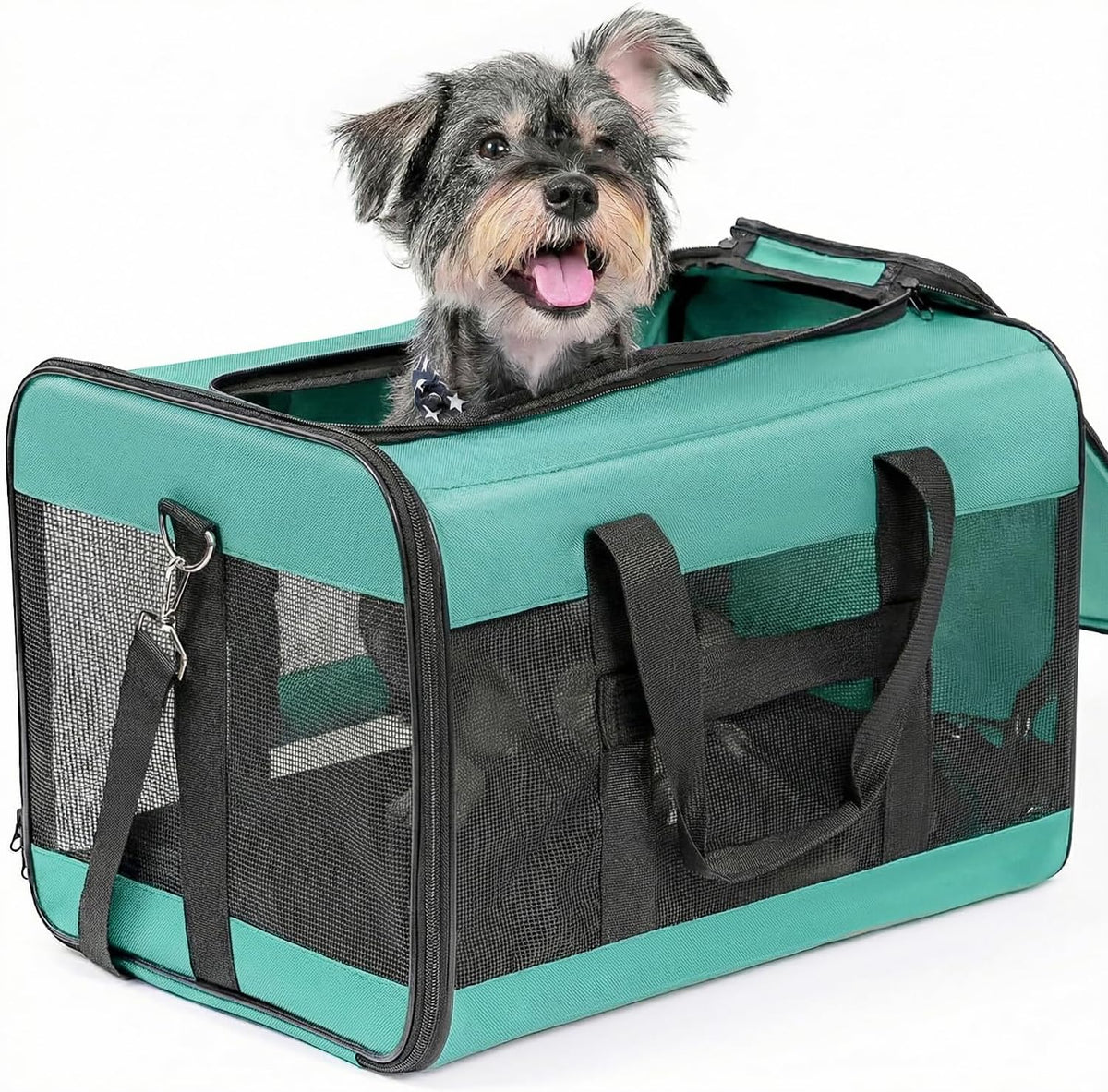 Conlun Dog Carrier Soft Sided, Large Cat Carrier up to 20 Lbs,Turq L