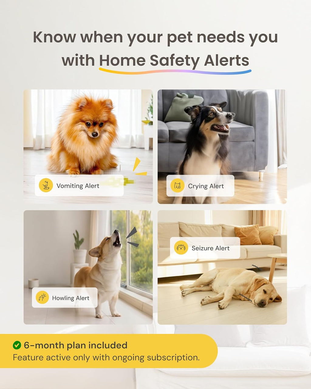 Furbo 360° Dog Camera [6-Month Subscription Included]