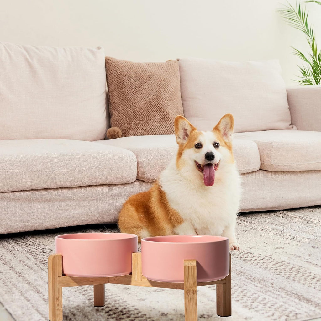 Elevated Ceramic Dog Bowl, 3.6 Cups Dog Food and Water Bowl Set with Stand | 6.1'' Double Dog Feeding Dishes, Non-Slip Raised Dog Feeder for Small and Medium Breeds, 28.74 OZ / 850 ML, White
