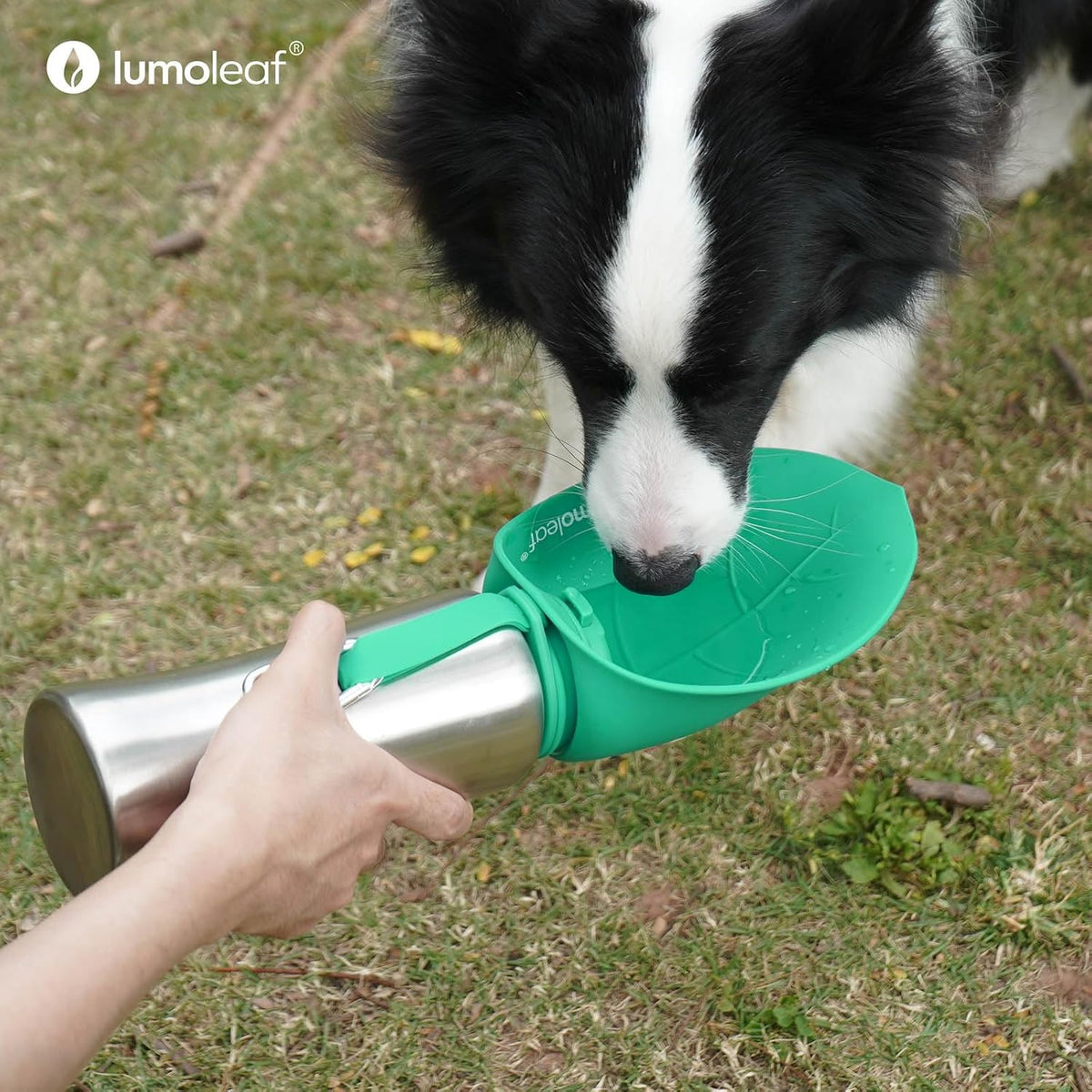 LumoLeaf Portable Dog Water Bottle 27 OZ, Stainless Steel Pet Travel Water Bottle Dispenser for Walking, Hiking and Outdoor, Portable Water Bowl for Large Dogs (Green)