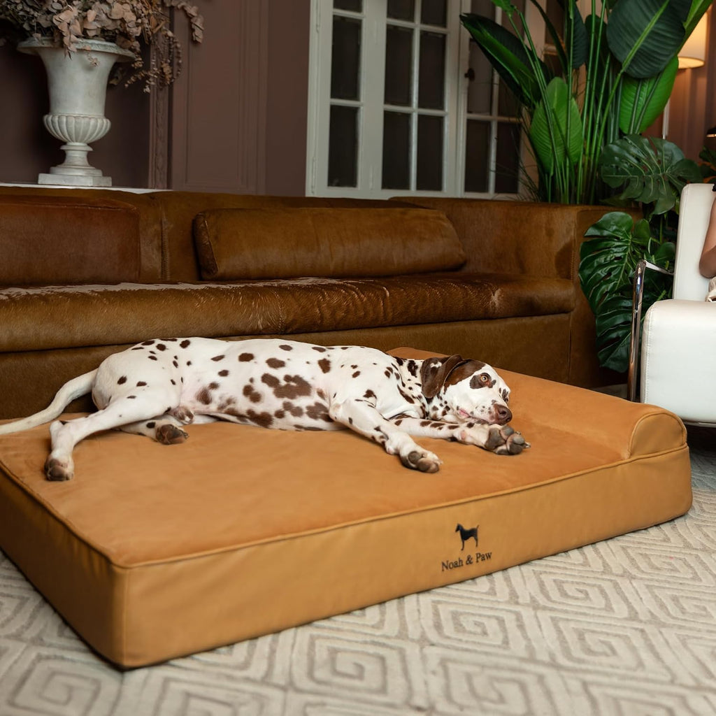 NOAH & PAW XL Dog Bed Orthopedic Memory Foam Cooling Gel 45x35x9.1 in