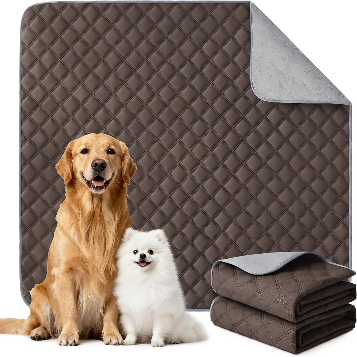 Eterish Washable Pee Pads for Dogs Large/Extra Large 31'' x 36'' 2 Pack | Reusable Absorbent Pet Puppy Dog Training Pads Non-Slip, Waterproof Whelping Potty Pads for Dogs Leak-Proof