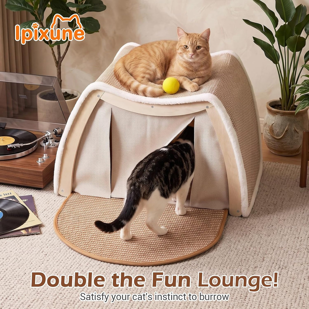 Cat House Indoor, 3-in-1 Wicker Cat Condo Scratcher Cave