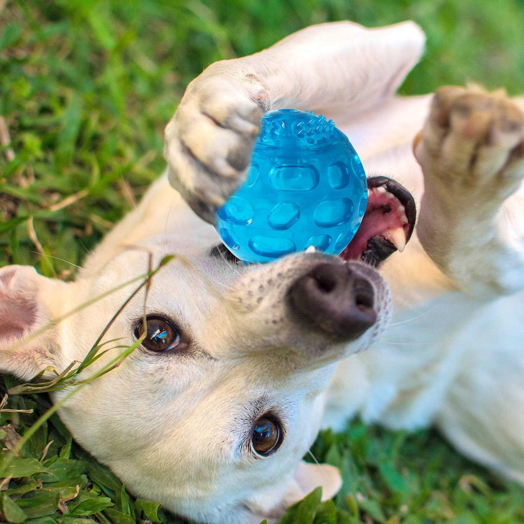 3'' Squeaky Dog Toy Balls for Lagre Medium Breed, Indestructible Dog Balls for Playing, Fetching & Retrieving, Durable Aggressive Chewers, 2 PCS Green+Purple