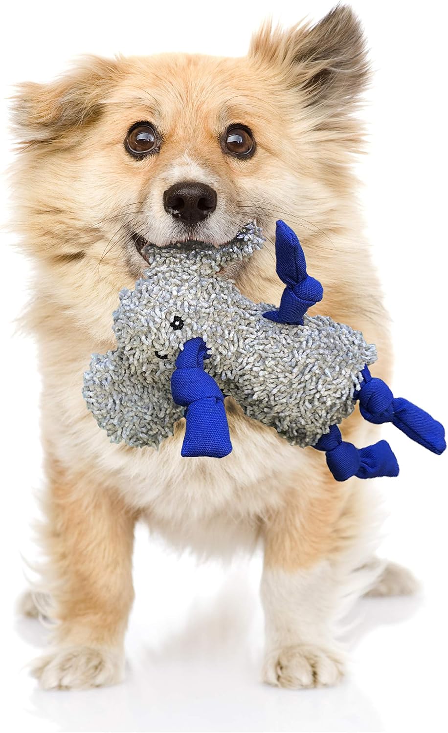 rocket & rex Puppy Chew Toys, Stuffing-Free Rope & Plush Set (3pk) | For small-medium breeds. Stuffing-free rope, rubber squeaker & plush toys. Reduces destructive chewing and anxiety.
