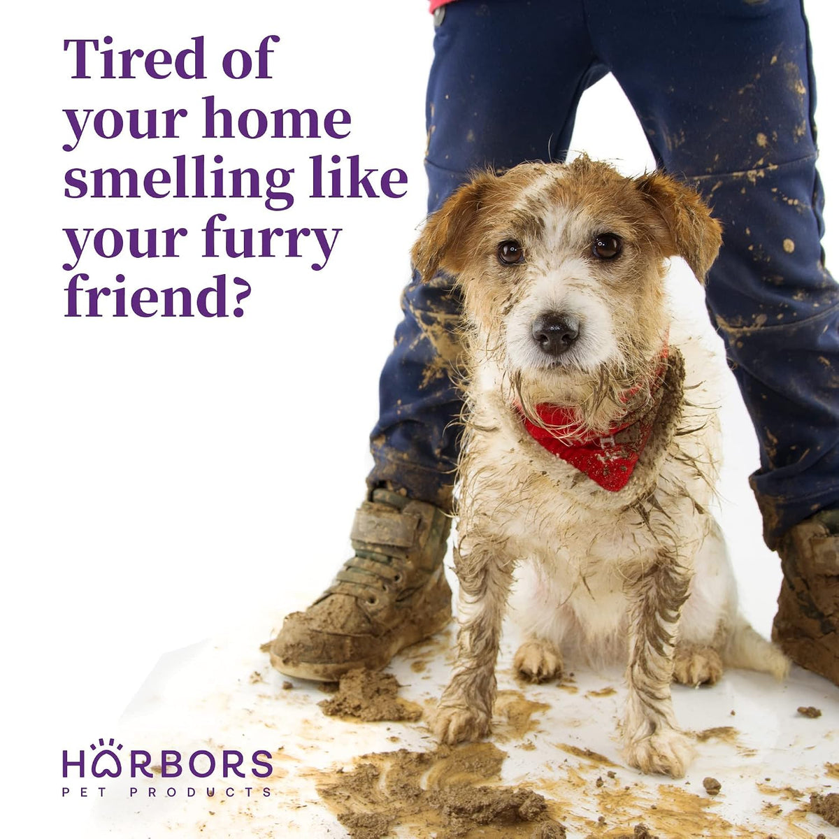 Harbor's Pet Cologne (Cuban Nights)
