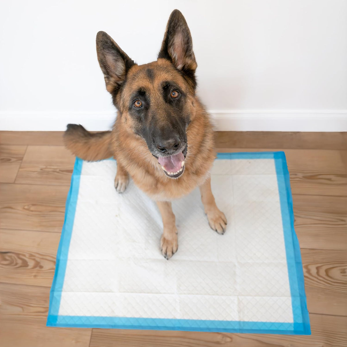 Four Paws Wee-Wee Superior Performance X-Large Dog Pee Pads, 14 Count | Puppy & dog potty training pads, housebreaking supplies, xl puppy pads, pet supplies, 24-hour floor protection, 28" x 34"