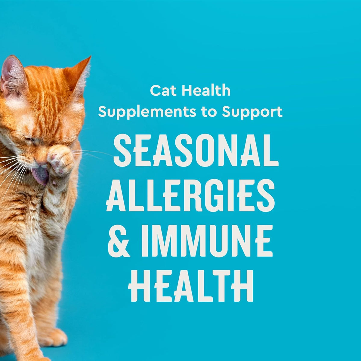 VetIQ Allergy Pro+ Cat Allergy Treats, Probiotics & Fish Oil, 3.7oz