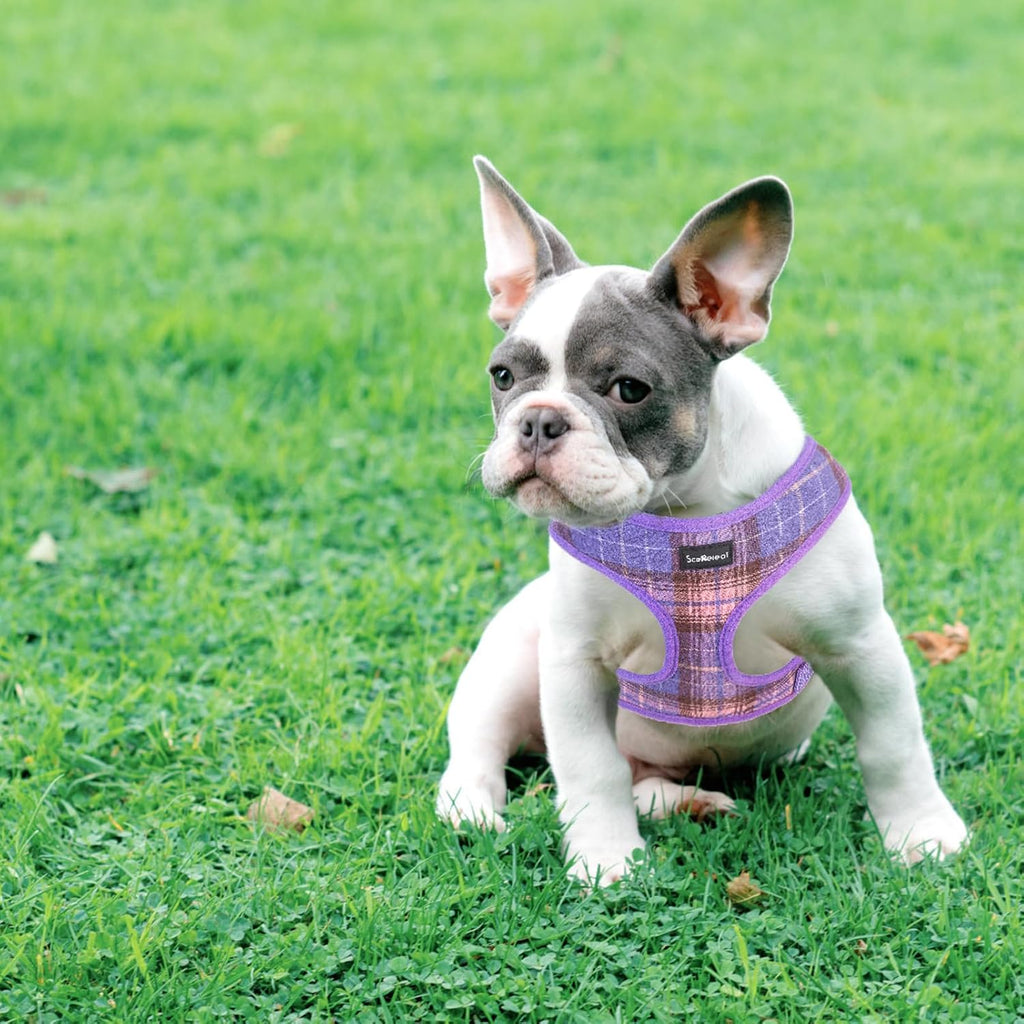 SCENEREAL No Pull Dog Harness with Leash Set for Small Dogs