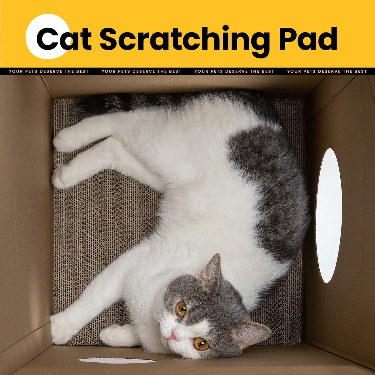 Conlun 2-in-1 Cat House Cardboard Scratching Pad Indoor Cave <13 lbs
