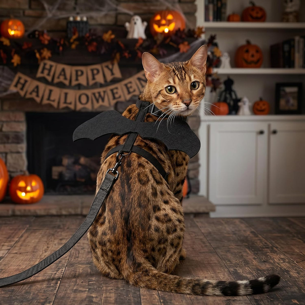 Tensho Cat Harness and Leash with Bat Wings Escape Proof Adjustable (M)