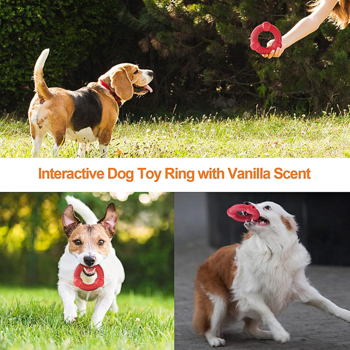 Dog Chew Toys 4 Pack, Dog Toys for Aggressive Chewers Small Medium Large Breed, Multifunctional Teeth Cleaning and Gum Massage, Tough Dog Toys with Natural Rubber for Puppy and Medium Large Dog