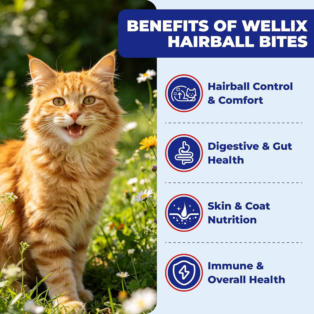 Wellix 10.58 oz Hairball Bites for Cats, Helps Relieve Hairballs