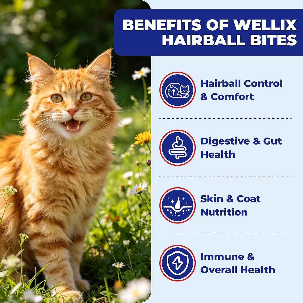 Wellix 10.58 oz Hairball Bites for Cats, Helps Relieve Hairballs