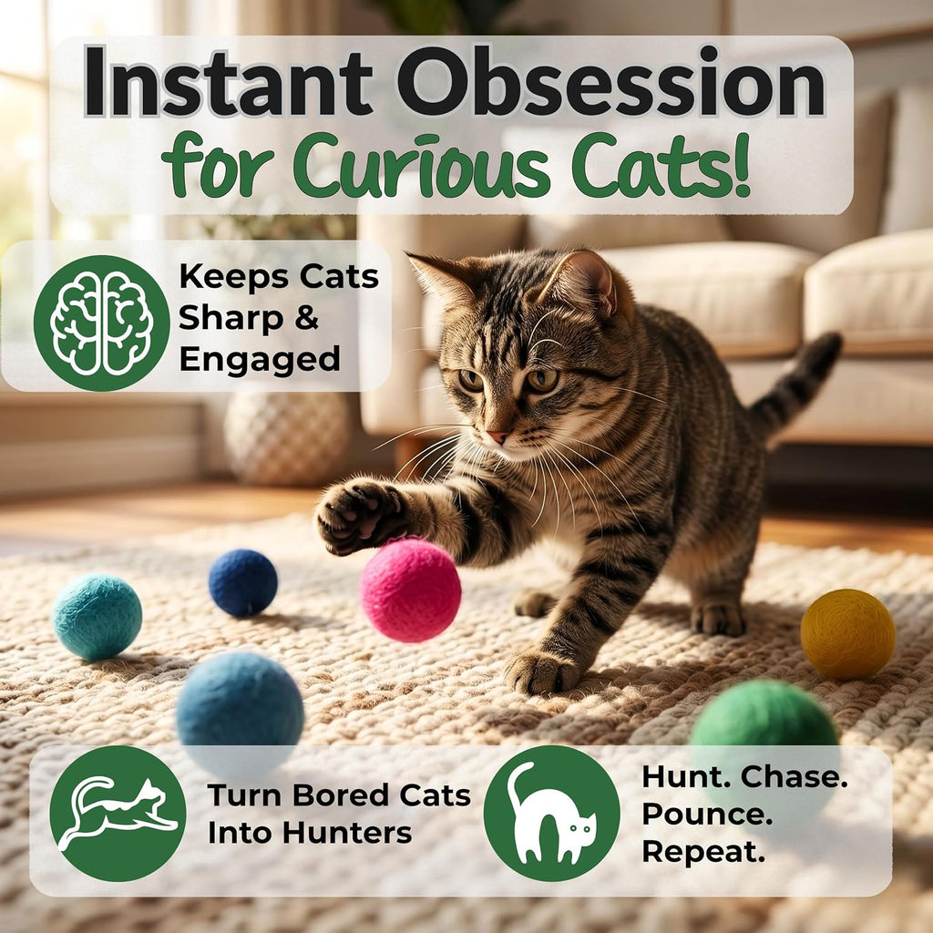 Cat Felt Balls 6 Pack, Wool Toy Balls for Indoor Cats, No Catnip